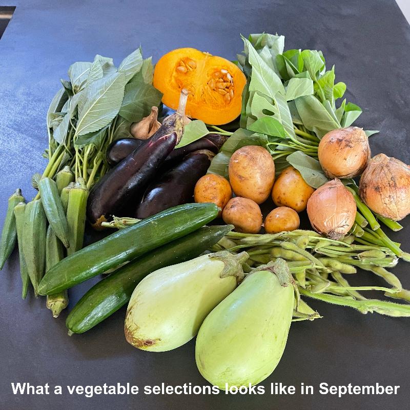 september vegetables set