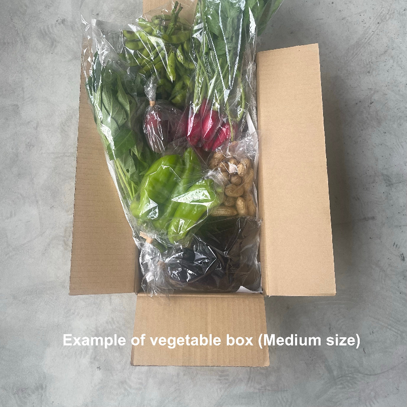 vegetable box medium