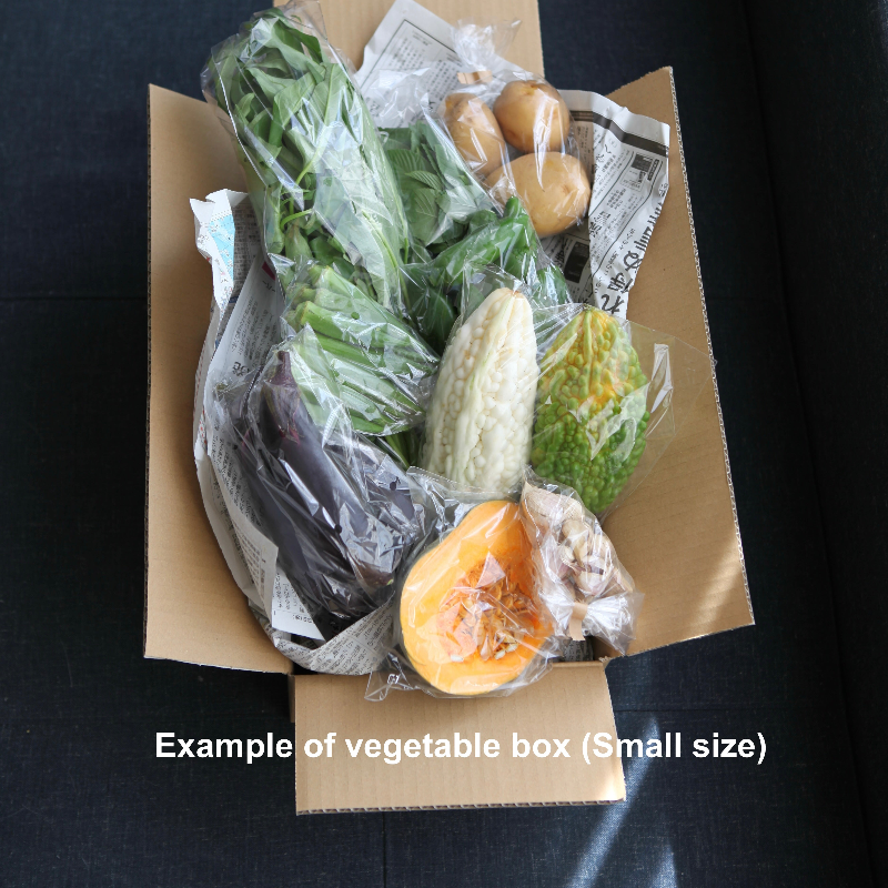 vegetable box small