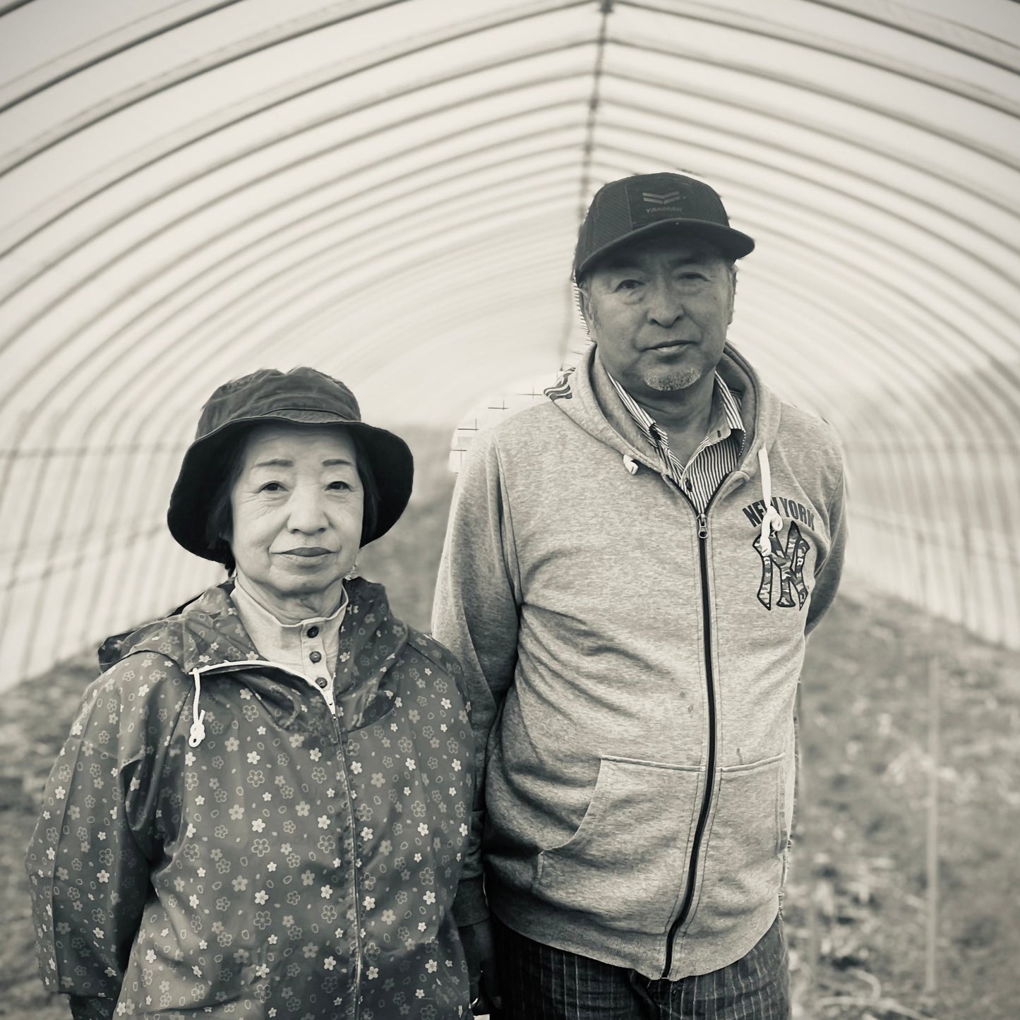 Green Asparagus  size L(incl shipping fee)