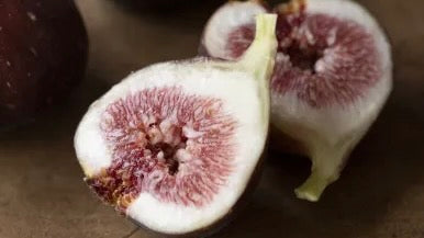 [As Seen on TV] Tree-Ripened Perfect Figs from Fujii Farm, Habikino, Osaka - Reservations Now Open!