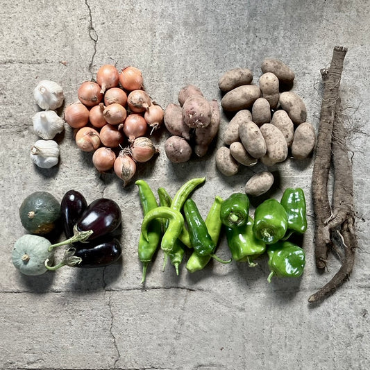 Autumn Vegetables from Hokkaido