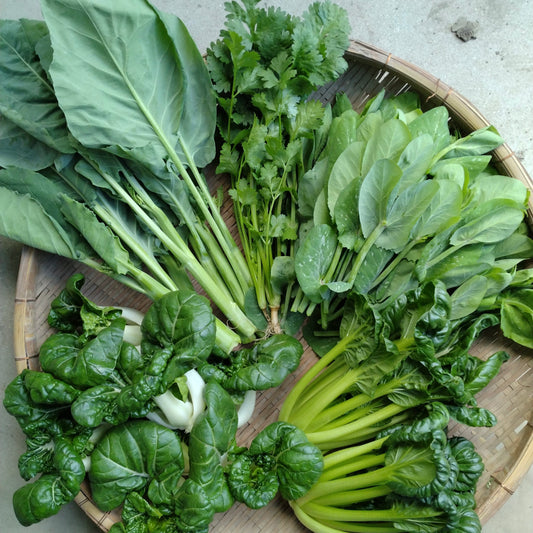 Seasonal Asian Vegetable Set