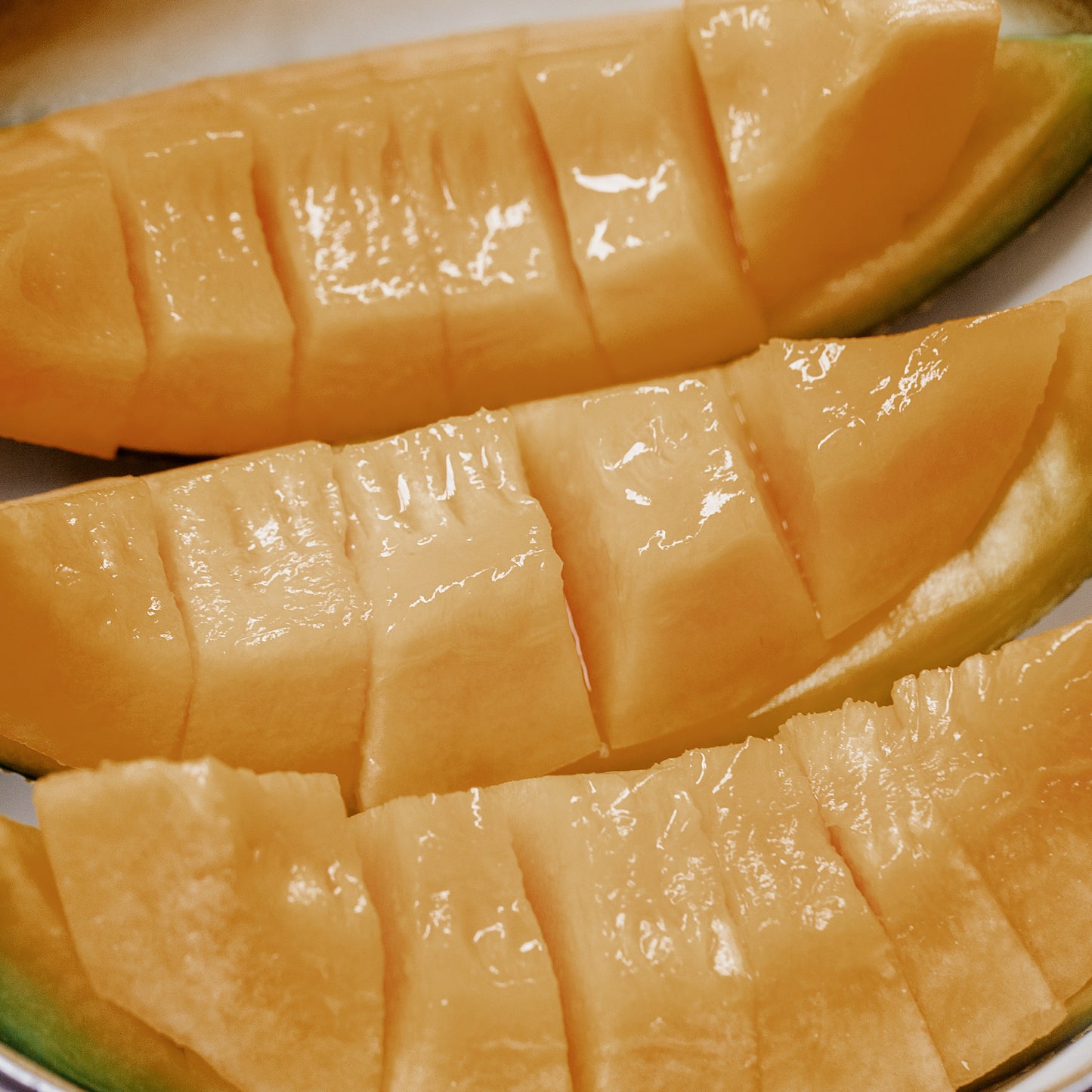Furano Melon 1.6kg(incl Shipping)
