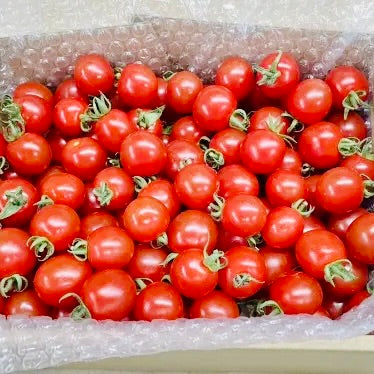 Sweet Tomatoes Sharing Box ( 1.5 kg / 4 kg )