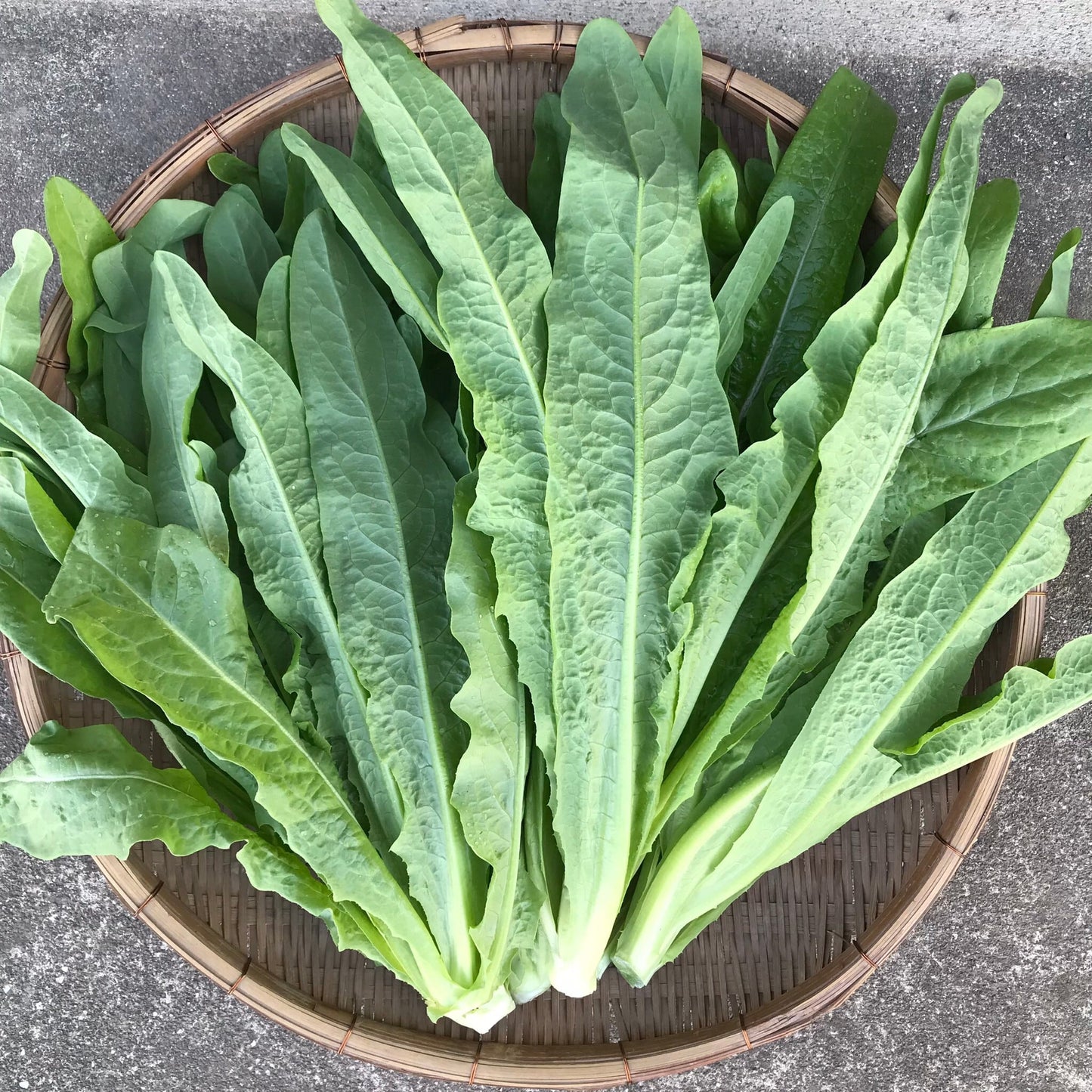 Seasonal Asian Vegetable Set