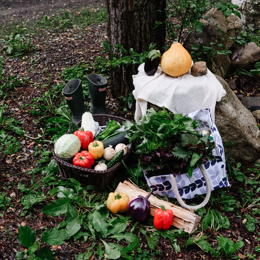 Seasonal Organic Vegetable Starter Box
