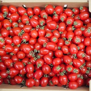 Sweet Tomatoes Sharing Box ( 1.5 kg / 4 kg )