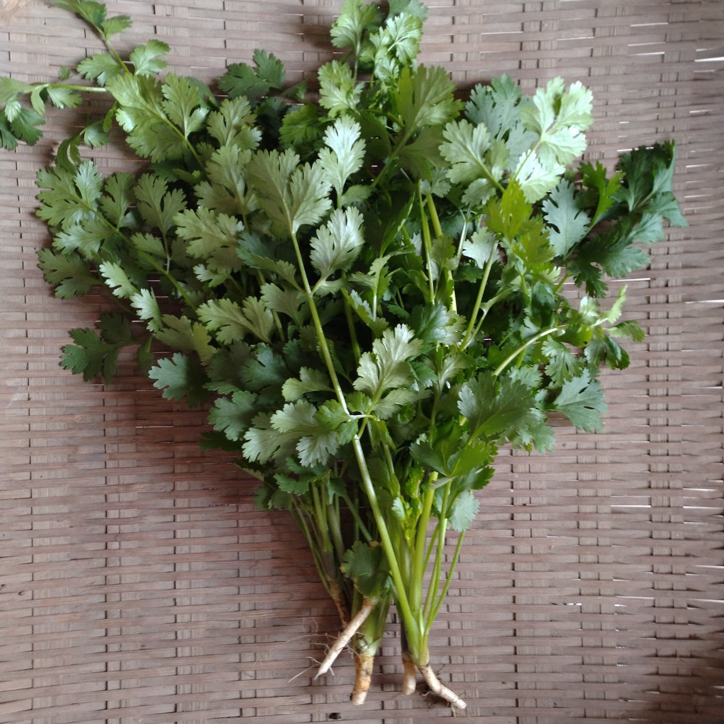 Seasonal Asian Vegetable Set