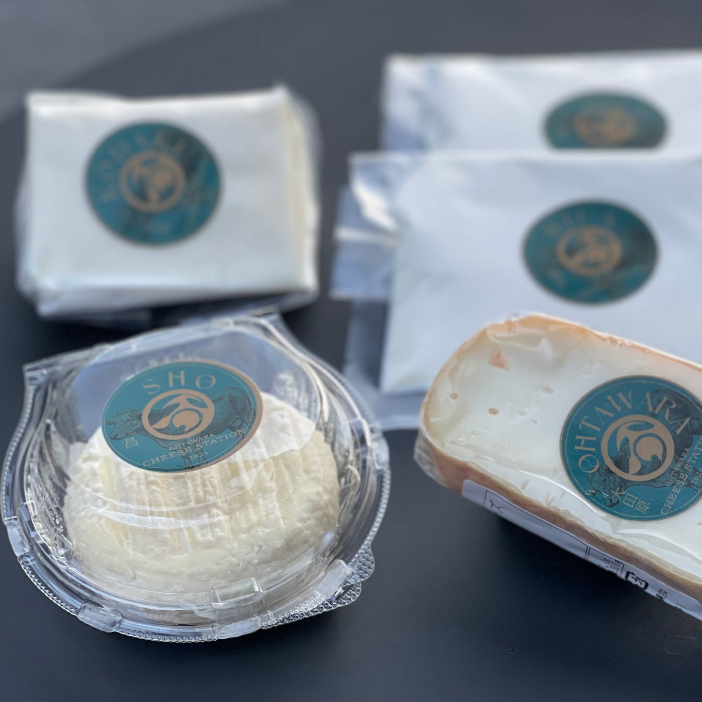 SHO - acid-coagulated cheese