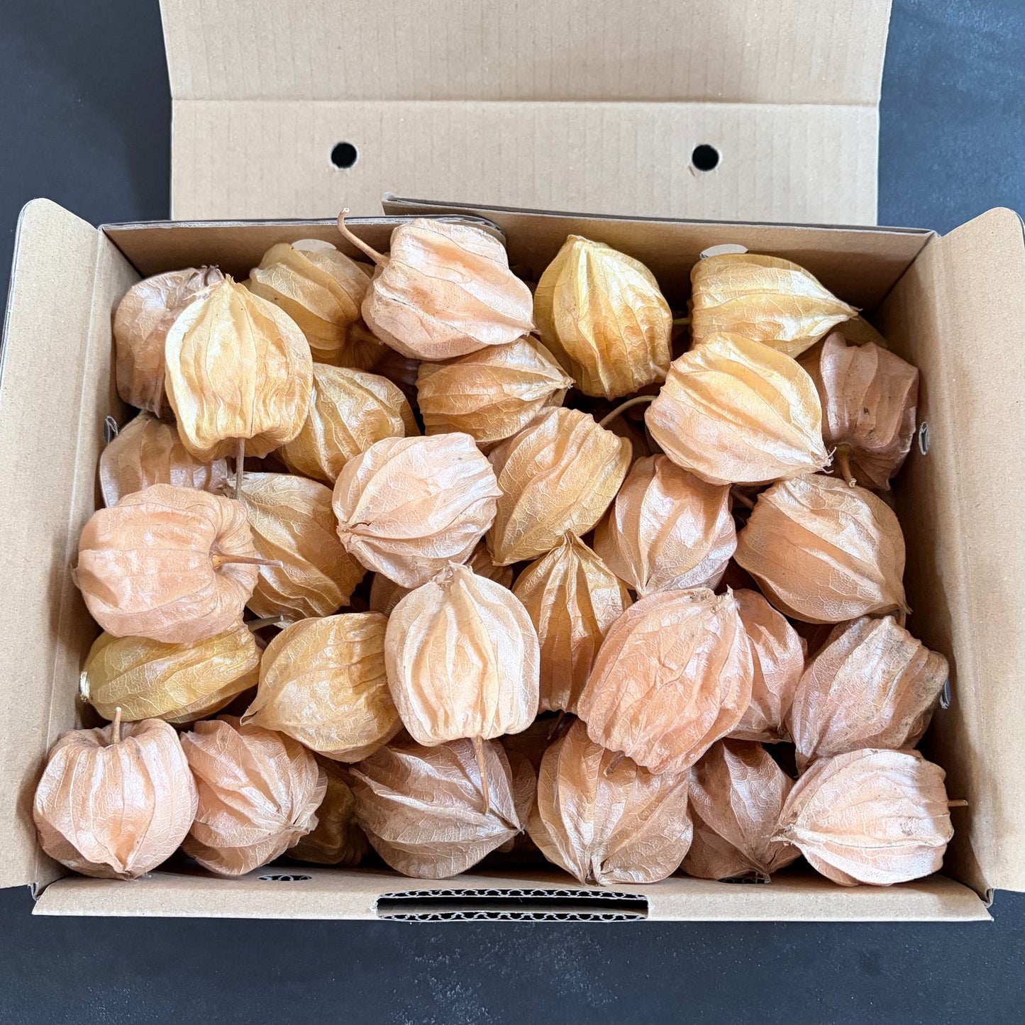 Organic Golden Berries | Nakafurano Sakamoto Farm JAS Organic - Limited to 5 Boxes Only