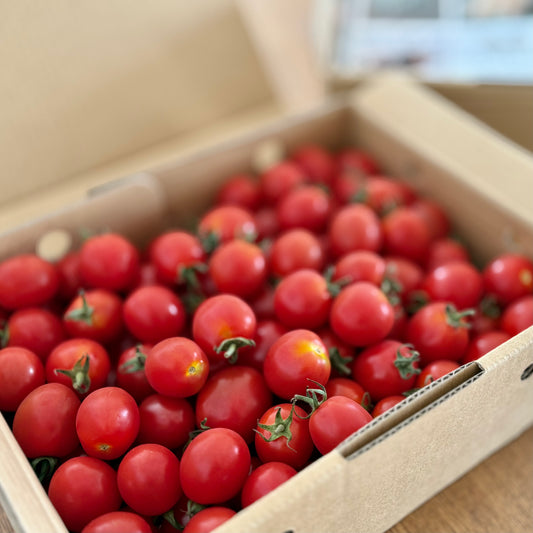 Cherry Tomatoes Organic JAS - Certified