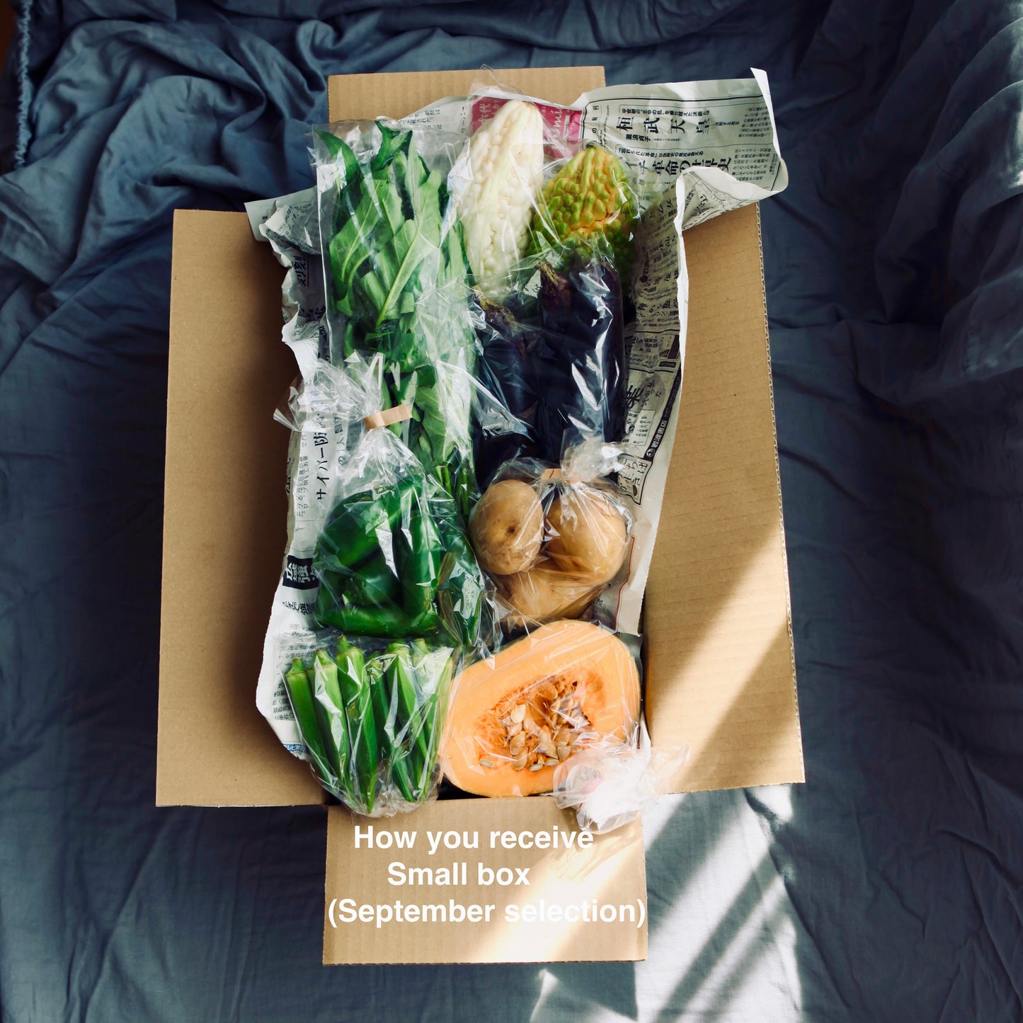 Seasonal Organic Vegetable Small Box Perfect for Family of 2-3