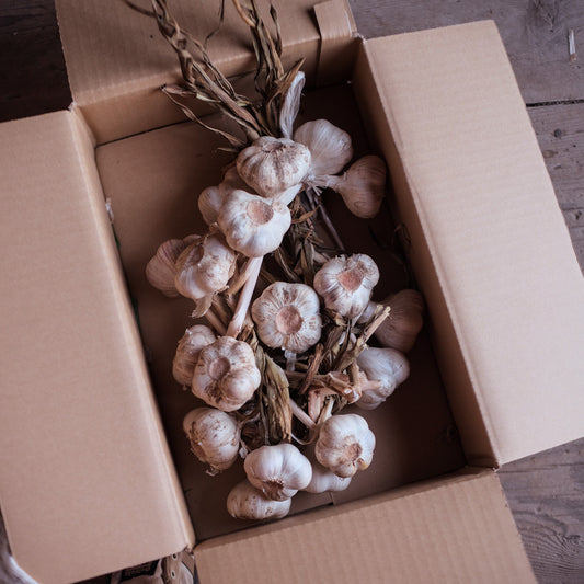 Organic Garlic 1kg
