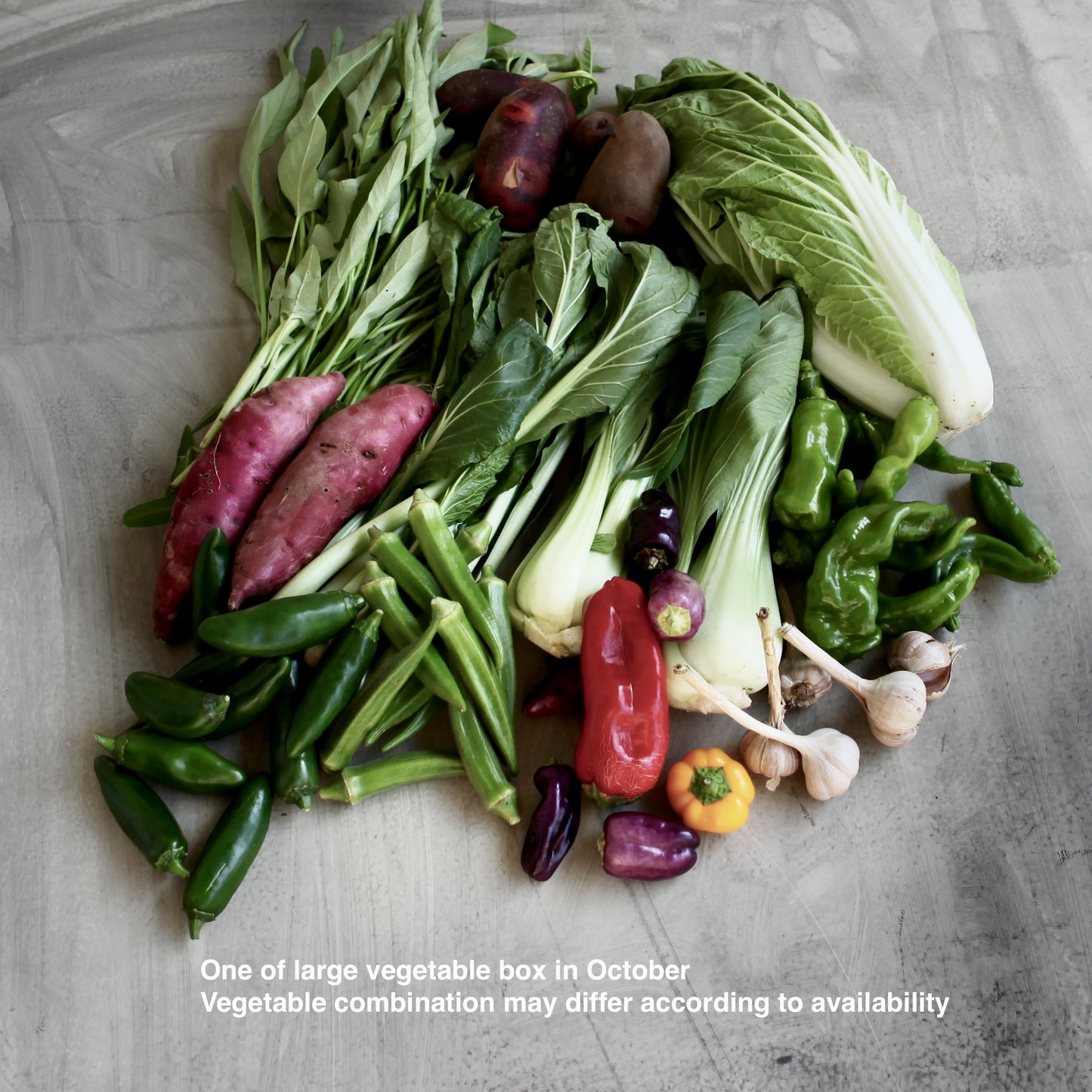 Seasonal Organic Vegetable Large Box Perfect for Big Family