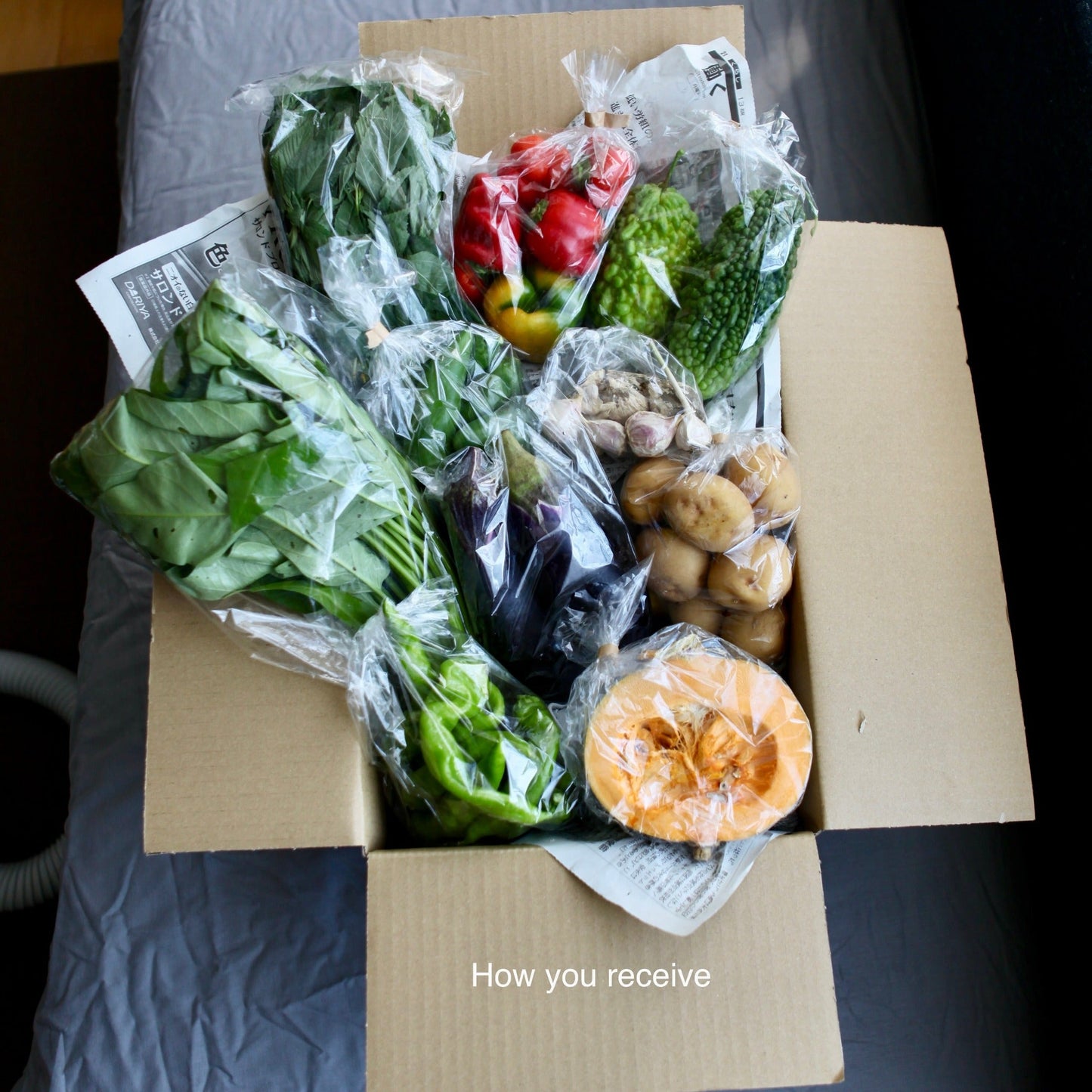 Seasonal Organic Vegetable Starter Box