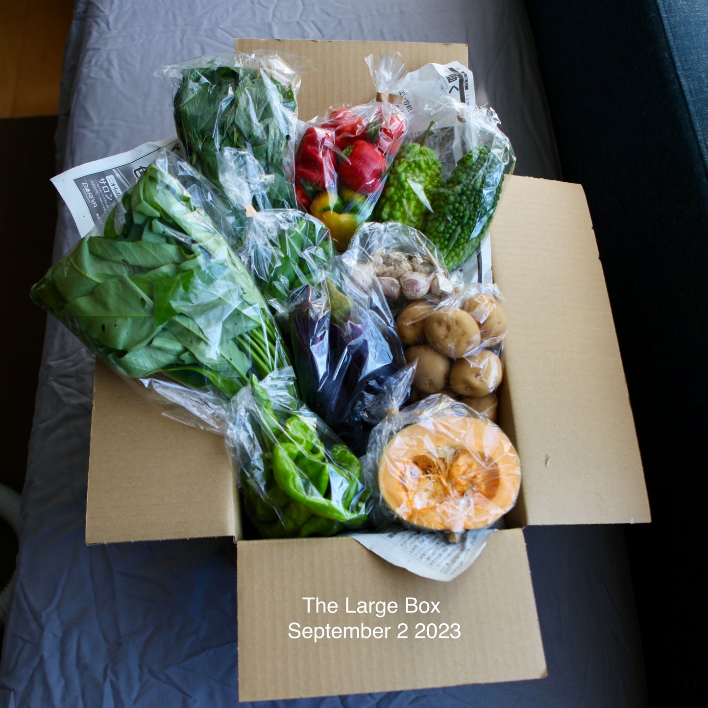 Seasonal Organic Vegetable Large Box Perfect for Big Family
