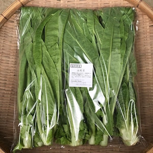 Seasonal Asian Vegetable Set