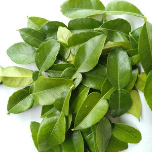 Seasonal  Fresh Herbs Set