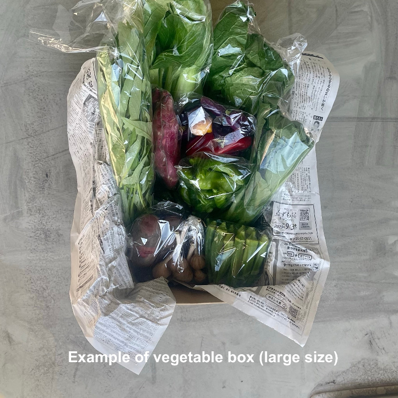 vegetable box large